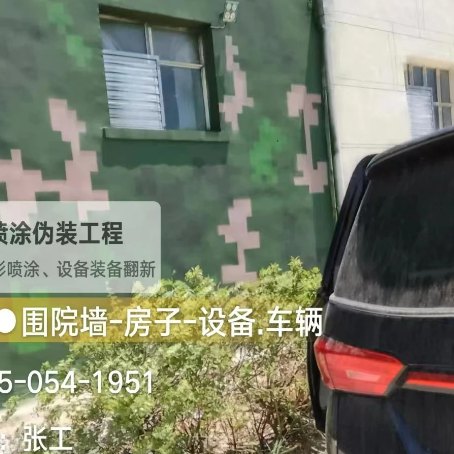 信阳数码迷彩漆施工